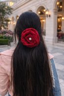 Premium Organza Fabric with pearl work